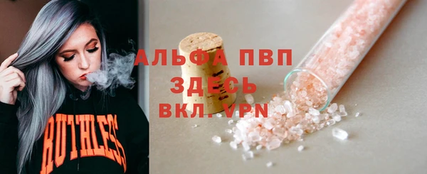 дживик Белокуриха