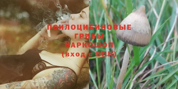 дживик Белокуриха