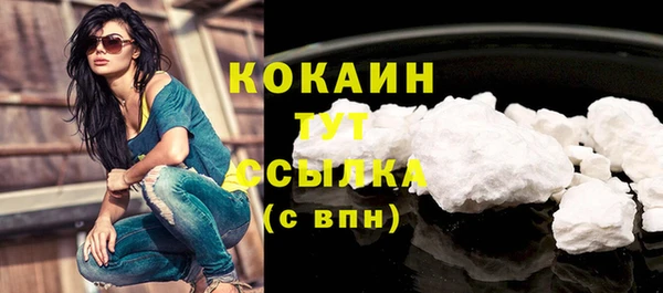 гидра Сосновка