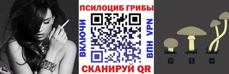 Галлюциногенные грибы GOLDEN TEACHER магазин Демидов